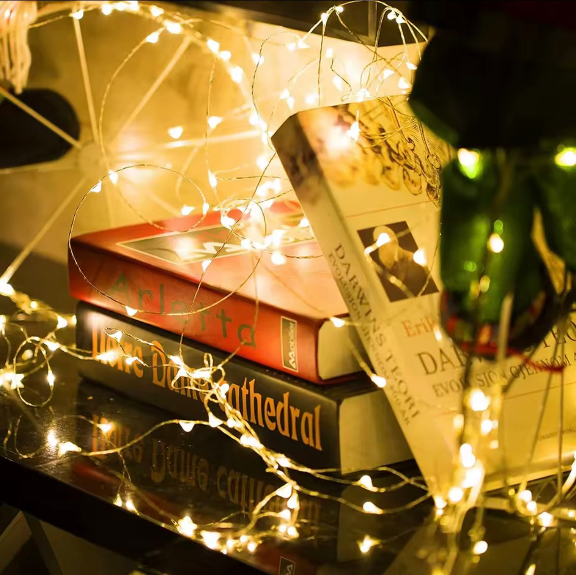 Guirnalda de luces LED